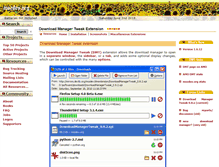 Tablet Screenshot of dmextension.mozdev.org
